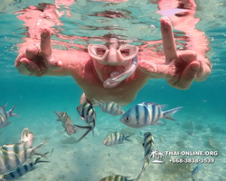 Underwater Odyssey snorkeling tour from Pattaya Thailand photo 14239
