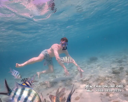 Underwater Odyssey snorkeling excursion Pattaya Thailand photo 11111
