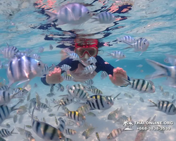 Underwater Odyssey snorkeling excursion in Pattaya Thailand photo 631