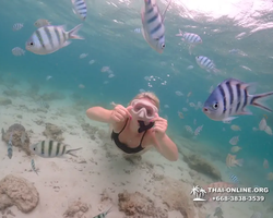 Underwater Odyssey snorkeling excursion in Pattaya Thailand photo 234