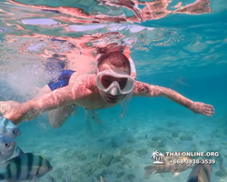Underwater Odyssey snorkeling excursion Pattaya Thailand photo 11139