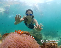 Underwater Odyssey snorkeling tour from Pattaya Thailand photo 18293