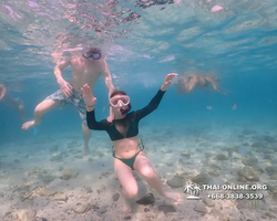 Underwater Odyssey snorkeling excursion Pattaya Thailand photo 11100