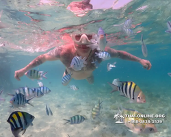 Underwater Odyssey snorkeling excursion Pattaya Thailand photo 11239