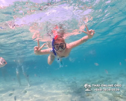 Underwater Odyssey snorkeling excursion Pattaya Thailand photo 11024