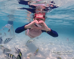 Underwater Odyssey snorkeling excursion in Pattaya Thailand photo 859