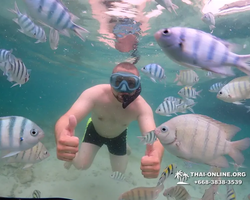 Underwater Odyssey snorkeling excursion in Pattaya Thailand photo 174