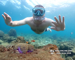 Underwater Odyssey snorkeling excursion Pattaya Thailand photo 11442