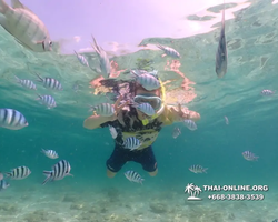 Underwater Odyssey snorkeling tour from Pattaya Thailand photo 18754