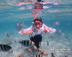 Underwater Odyssey snorkeling excursion in Pattaya Thailand photo 491