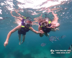 Underwater Odyssey snorkeling excursion in Pattaya Thailand photo 19