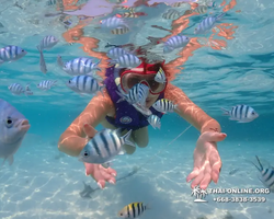 Underwater Odyssey snorkeling excursion in Pattaya Thailand photo 738