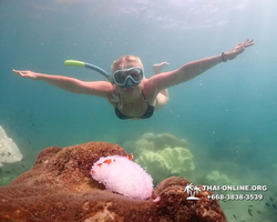 Underwater Odyssey snorkeling excursion Pattaya Thailand photo 19529