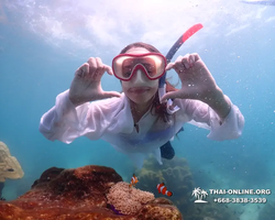 Underwater Odyssey snorkeling excursion in Pattaya Thailand photo 555