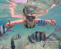 Underwater Odyssey snorkeling tour from Pattaya Thailand photo 14488