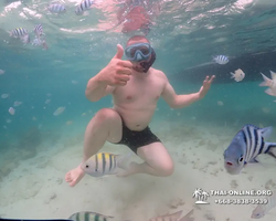 Underwater Odyssey snorkeling excursion in Pattaya Thailand photo 259