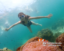 Underwater Odyssey snorkeling tour from Pattaya Thailand photo 18424