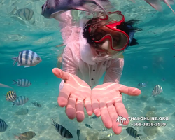Underwater Odyssey snorkeling tour from Pattaya Thailand photo 14354