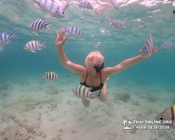 Underwater Odyssey snorkeling excursion in Pattaya Thailand photo 230