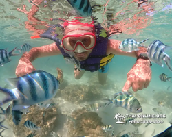 Underwater Odyssey snorkeling excursion Pattaya Thailand photo 19010