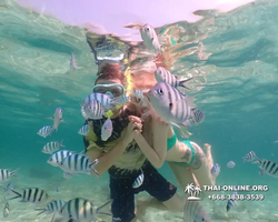 Underwater Odyssey snorkeling tour from Pattaya Thailand photo 18319