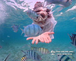 Underwater Odyssey snorkeling excursion Pattaya Thailand photo 11162