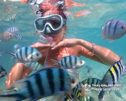 Underwater Odyssey snorkeling tour from Pattaya Thailand photo 14238