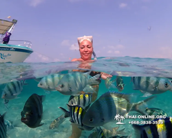 Underwater Odyssey snorkeling excursion Pattaya Thailand photo 11318