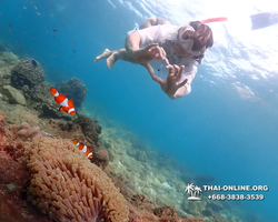 Underwater Odyssey snorkeling excursion Pattaya Thailand photo 11395