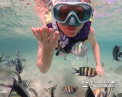 Underwater Odyssey snorkeling excursion Pattaya Thailand photo 19554