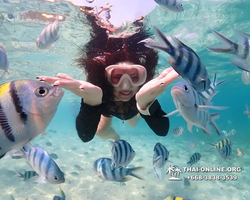 Underwater Odyssey snorkeling excursion Pattaya Thailand photo 11214