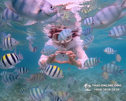 Underwater Odyssey snorkeling excursion Pattaya Thailand photo 11168
