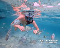 Underwater Odyssey snorkeling excursion Pattaya Thailand photo 11051