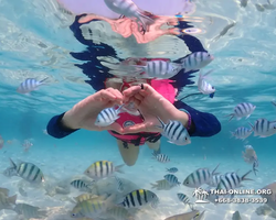 Underwater Odyssey snorkeling excursion in Pattaya Thailand photo 856