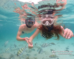 Underwater Odyssey snorkeling excursion in Pattaya Thailand photo 35