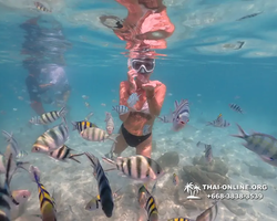 Underwater Odyssey snorkeling tour from Pattaya Thailand photo 14538