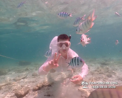 Underwater Odyssey snorkeling tour from Pattaya Thailand photo 18819