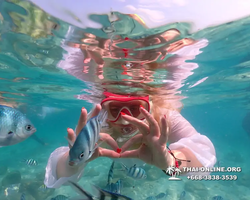 Underwater Odyssey snorkeling tour from Pattaya Thailand photo 14400