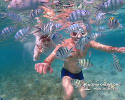 Underwater Odyssey snorkeling excursion Pattaya Thailand photo 11299