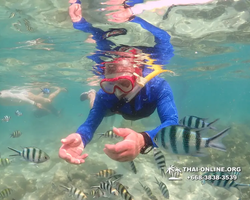 Underwater Odyssey snorkeling excursion Pattaya Thailand photo 14877