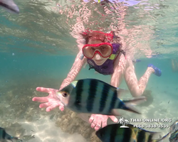 Underwater Odyssey snorkeling excursion Pattaya Thailand photo 19173