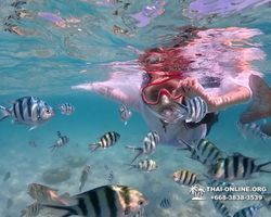 Underwater Odyssey snorkeling excursion in Pattaya Thailand photo 386