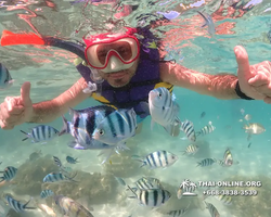 Underwater Odyssey snorkeling excursion Pattaya Thailand photo 19017