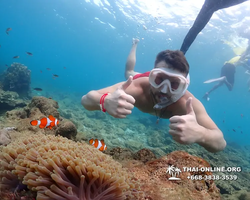 Underwater Odyssey snorkeling excursion Pattaya Thailand photo 11414