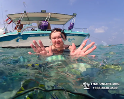 Underwater Odyssey snorkeling excursion Pattaya Thailand photo 11321