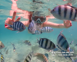 Underwater Odyssey snorkeling tour from Pattaya Thailand photo 14480