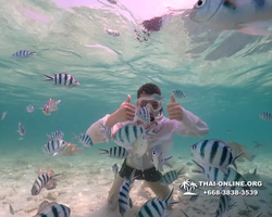 Underwater Odyssey snorkeling tour from Pattaya Thailand photo 18324