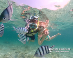 Underwater Odyssey snorkeling tour from Pattaya Thailand photo 18444