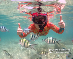 Underwater Odyssey snorkeling excursion Pattaya Thailand photo 14772