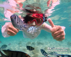 Underwater Odyssey snorkeling tour from Pattaya Thailand photo 14303